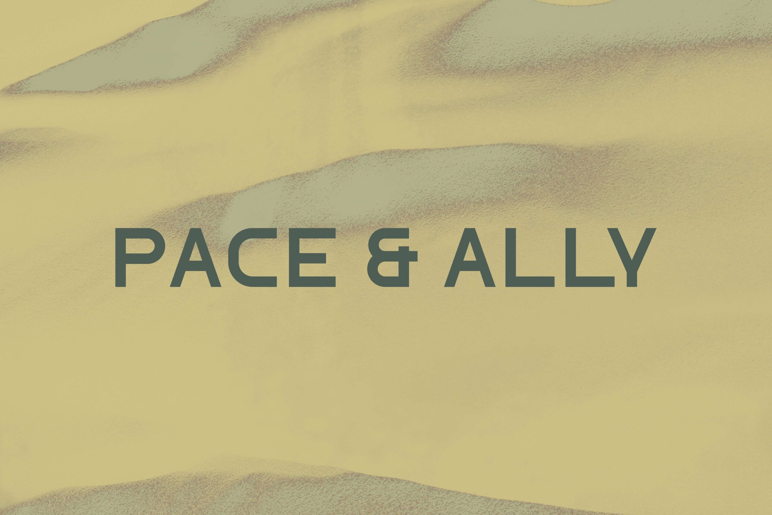 studiobasil_play_pace&ally